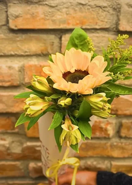 Para florir seu dia Girassol