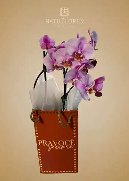 Orquídea Phalenopis Rosa